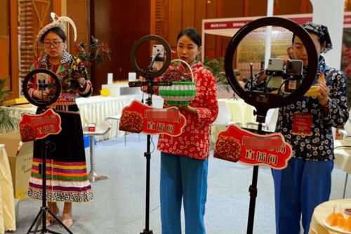 紅星觀察丨主播經(jīng)紀(jì)首度納入行政監(jiān)管，《網(wǎng)絡(luò)表演經(jīng)紀(jì)機(jī)構(gòu)管理辦法》征求意見稿解讀